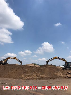 Xe đào bánh xích